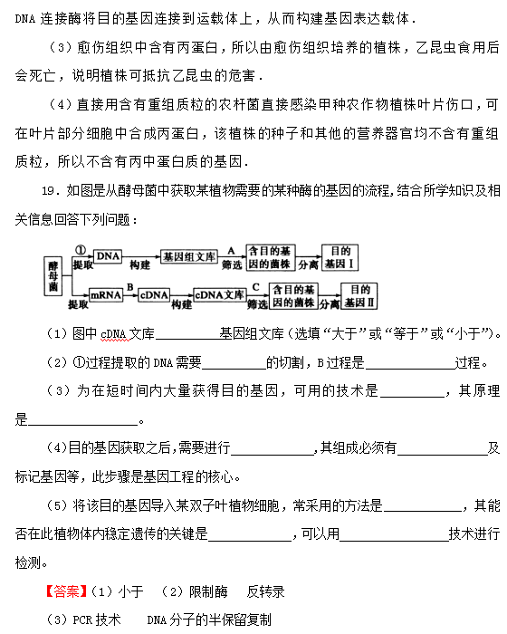 基因工程原理是什么_基因工程(2)