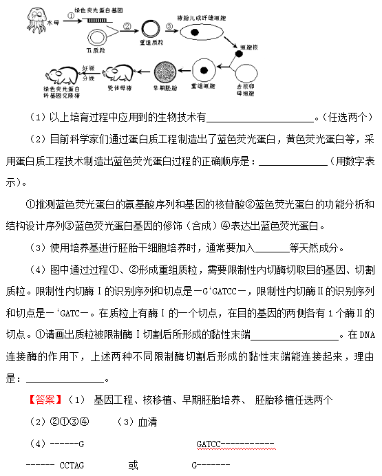 基因工程原理是什么_基因工程(2)