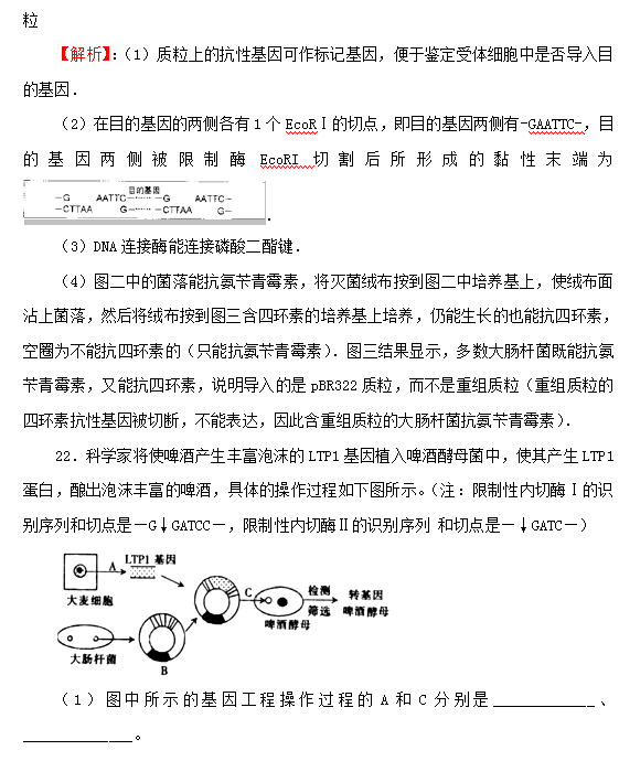 基因工程原理是什么_基因工程(2)