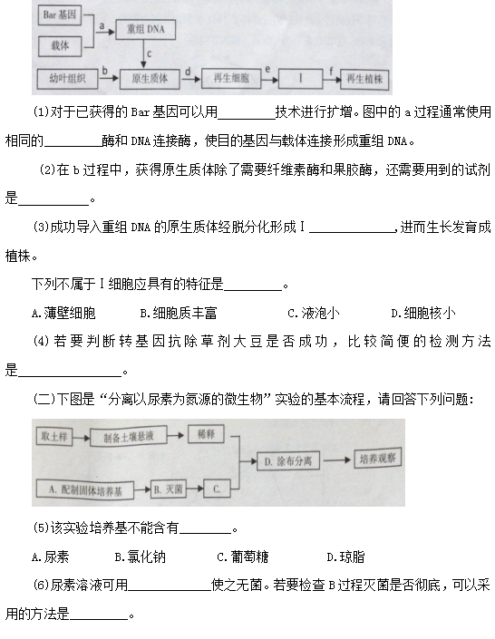 基因工程原理是什么_基因工程(2)