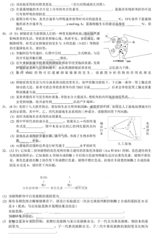 2020届黑龙江省哈尔滨第三中学高三理综3月线上模拟试题9