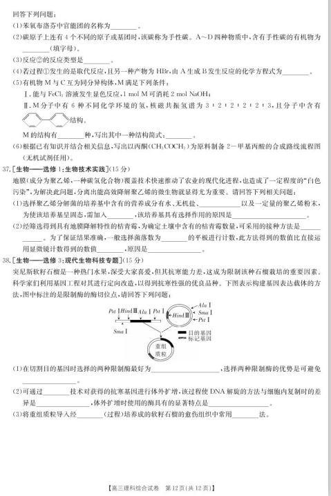 2020届陕西省高丹高新学校高三理科综合试题（图片版）12