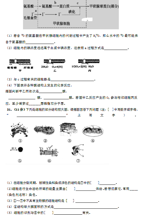 2020ÌLc߼ЌW(xu)ʮ¿ԇ3