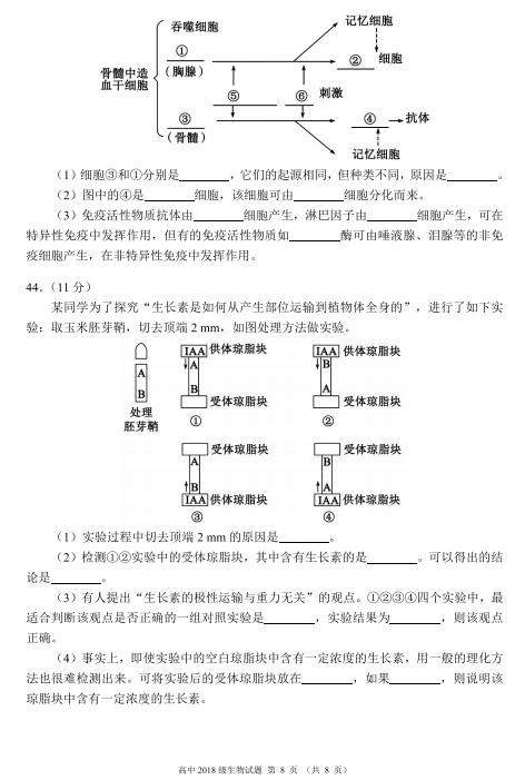 2020ĴʡسУ(lin)˸߶όW(xu)ԇDƬ棩8