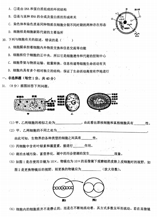 2020ʡЌW(xu)һόW(xu)ԇDƬ棩6