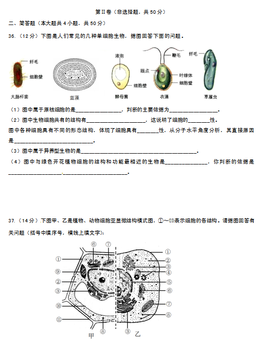 2020øʡУ(lin)һόW(xu)ԇDƬ棩7