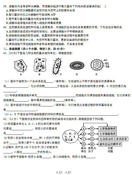 2020LɽЌW(xu)һόW(xu)ԇDƬ棩5