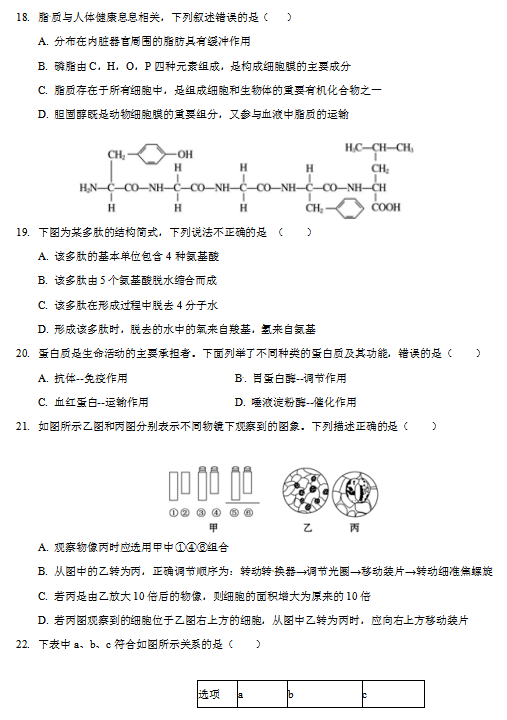 2020úӱɽһиһόW(xu)ԇDƬ棩5