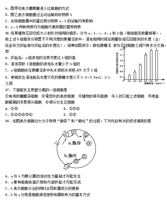 2020úиһόW(xu)ԇDƬ棩11