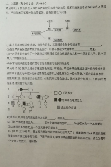 2020ýи߶όW(xu)ԇDƬ棩7