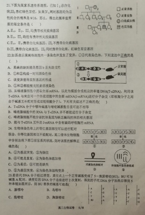 2020콭ʦи߶ѧԾͼƬ棩5