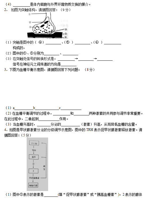 2020úʡи߶όW(xu)ԇDƬ棩5