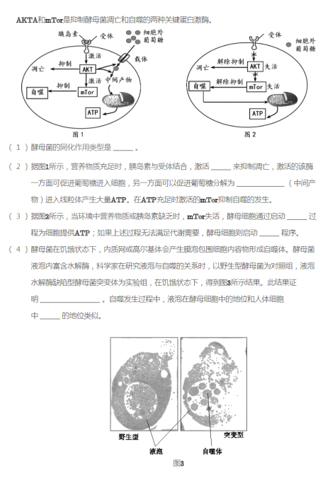 2020ñ?zh)ЌW(xu)όW(xu)ԇDƬ棩11