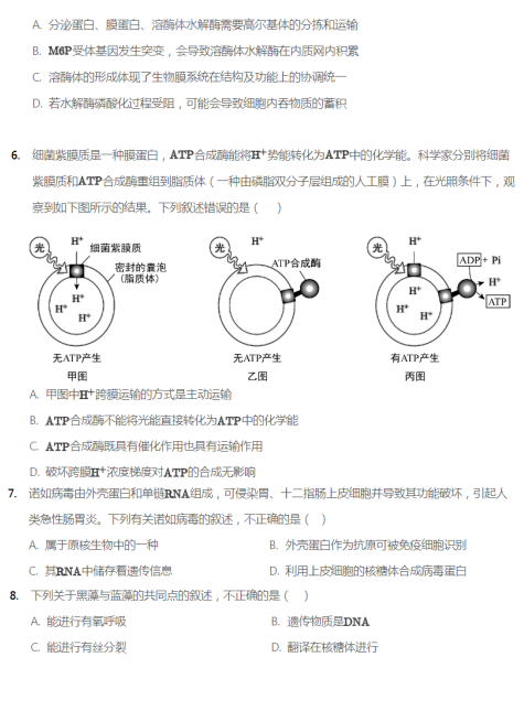 2020ñ?zh)ЌW(xu)όW(xu)ԇDƬ棩3