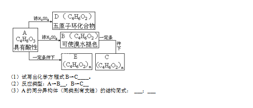 2019-2020|ʡ170ЌW(xu)߶W(xu)όW(xu)ĩԇDƬ棩4