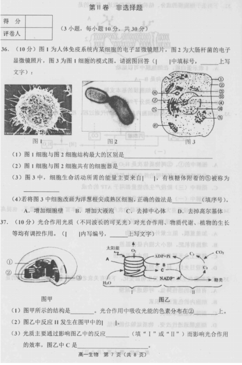 2019-2020вօ^(q)һόW(xu)δԇDƬ棩7