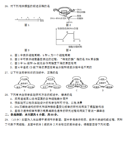 2019-2020㶫ʡɽѧ߶ѧĩԾͼƬ棩6