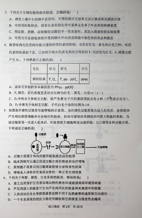 2019-2020(ni)ɹųиόW(xu)ĩԇDƬ棩2