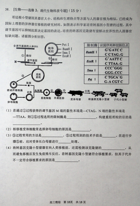 2019-2020(ni)ɹųиόW(xu)ĩԇDƬ棩6