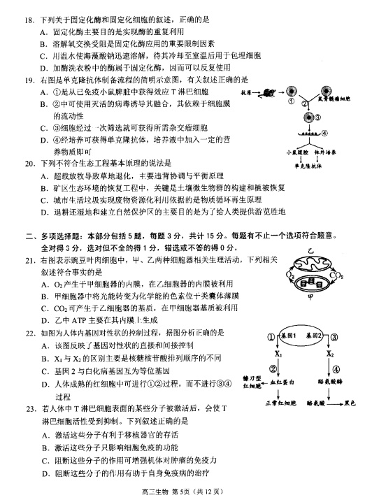 2019-2020KʡP(yng)иόW(xu)ĩԇDƬ棩5