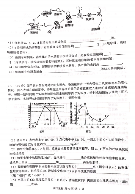 2019-2020ʡиόW(xu)ĩԇDƬ棩6