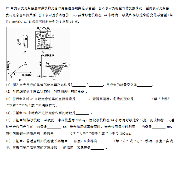 2019-2020иѧĩԾͼƬ棩5