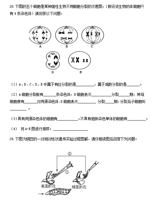 2020ñ}ǸУһW(xu)_W(xu)(x)}DƬ棩12