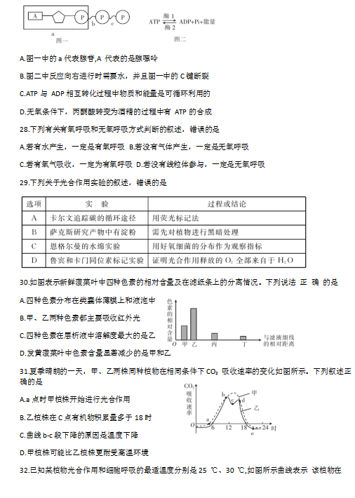 2020ðУ(lin)˸һW(xu)ھϾ(x)}DƬ棩6