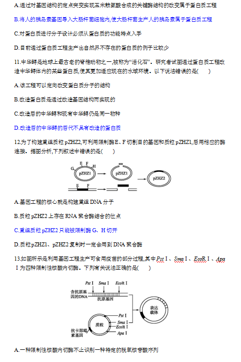 2020ɽ|ʡM(fi)hһи߶W(xu)ھ¿ԇ}DƬ棩4