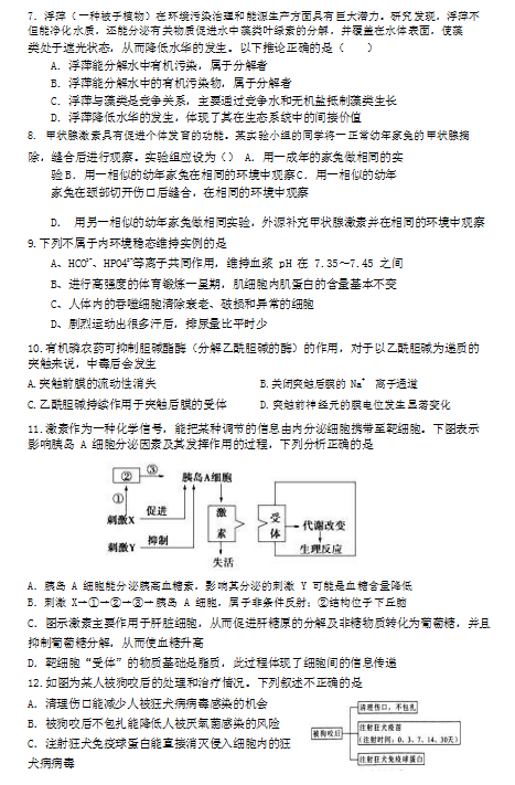 2020úʡи߶W(xu)ھ_W(xu)ԇ}DƬ棩2