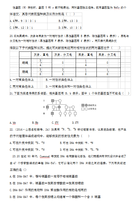 2020úʡи߶W(xu)ھ(xin)_(ki)W(xu)ԇ}DƬ棩4