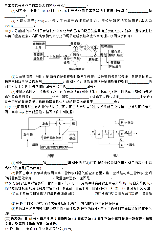 2020츣ʡиӦԲ3