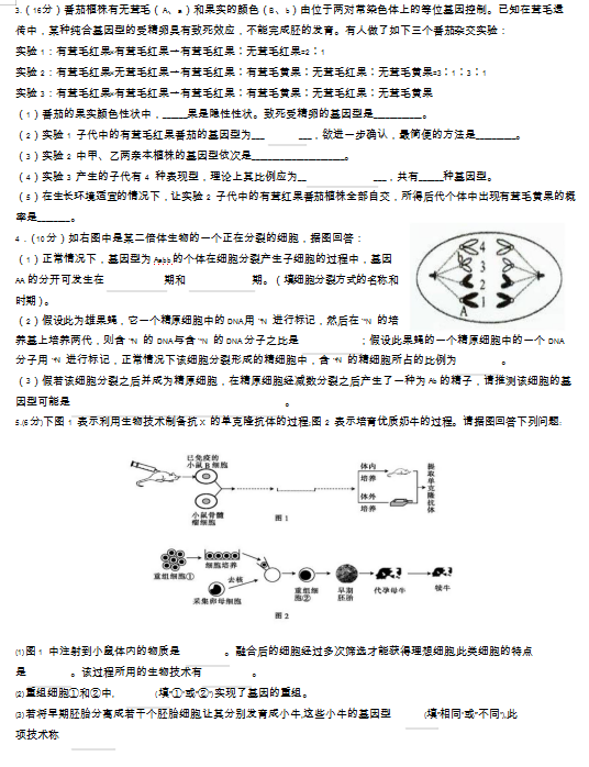 2020_W(xu)У̌W(xu)zy(c)ԇDƬ棩4