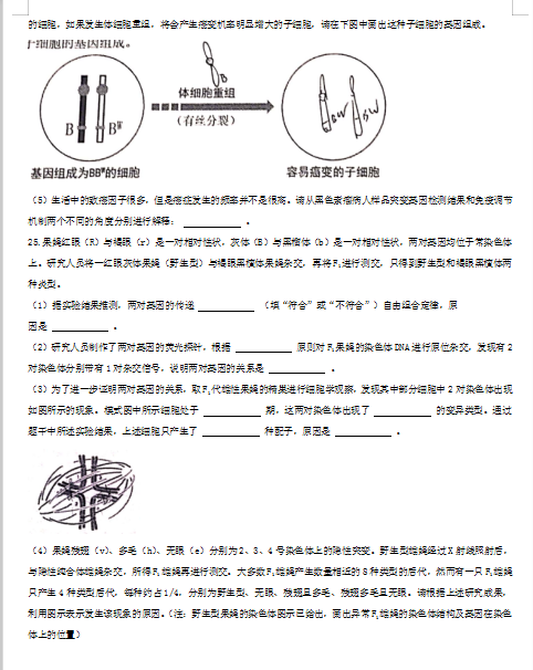 2020ñʮһW(xu)УW(xu)½cW(xu)|(zh)\ԇ}DƬ棩11