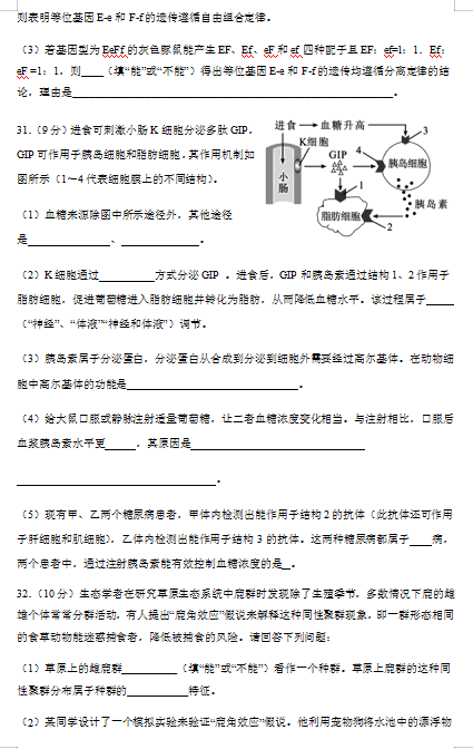 2020ɽW(xu)ЌW(xu)W(xu)m(yng)Ӗ(xn)ԇ}DƬ棩4