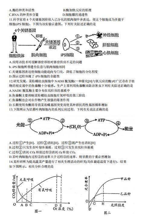 2020ҫAЌW(xu)_W(xu)ԇ}DƬ棩3