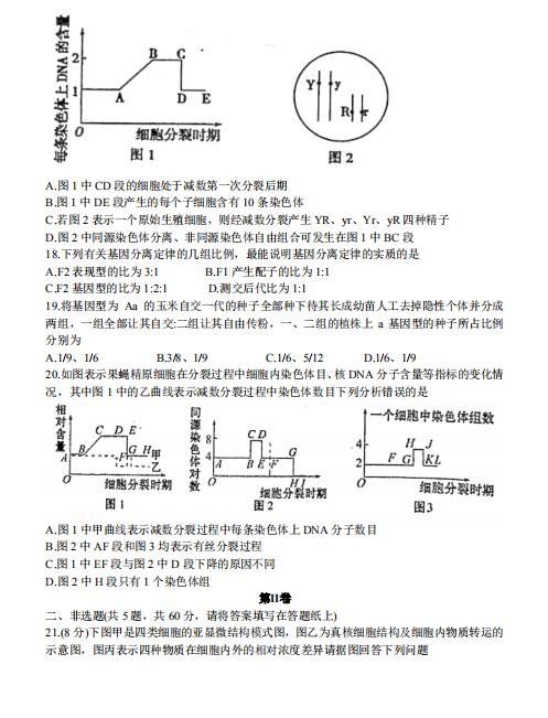 2020ҫAЌW(xu)_W(xu)(yn)ԇ}DƬ棩5