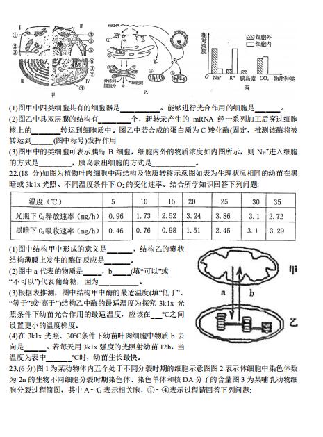 2020ҫAЌW(xu)_(ki)W(xu)(yn)ԇ}DƬ棩6