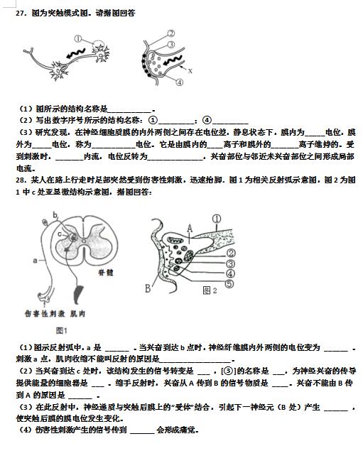 2020ñ(qing)ЌW(xu)һ݆(f)(x)ԇ}ģDƬ棩7