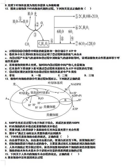 2020úӱ(qing)ЌW(xu)һ݆(f)(x)ܜy(c)ԇ}DƬ棩3