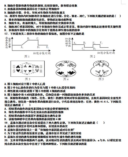 2020úӱ(qing)ЌW(xu)һ݆(f)(x)ܜy(c)ԇ}DƬ棩4