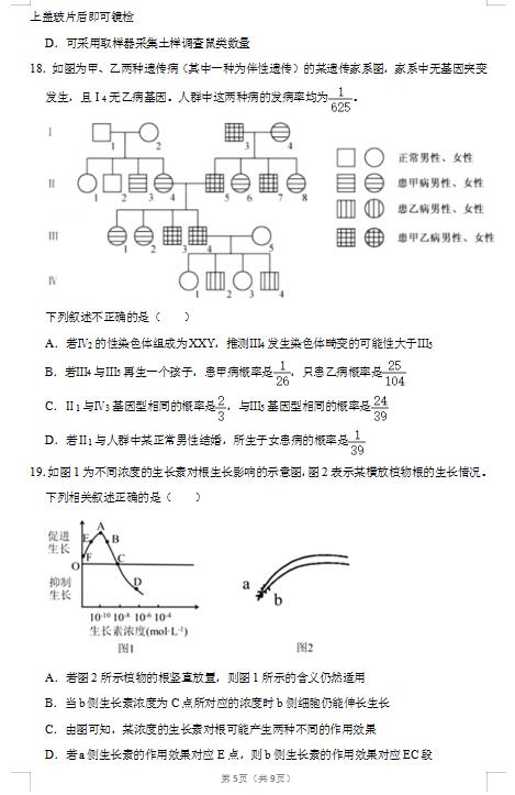 2020ɽ|߿4ģMԇ}DƬ棩5