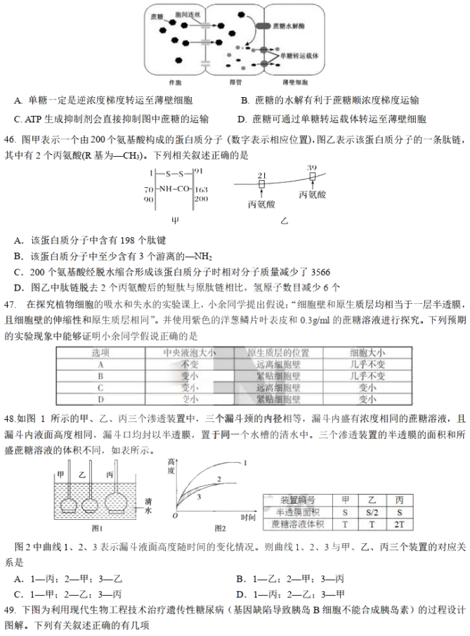 2020ùIои߶W(xu)Aԇ}7