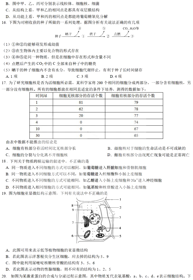 2020ùIои߶W(xu)Aԇ}3