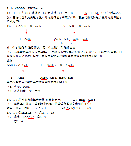 2020úʡL(zhng)ЌW(xu)nܾ(x)ԇ}𰸣d棩