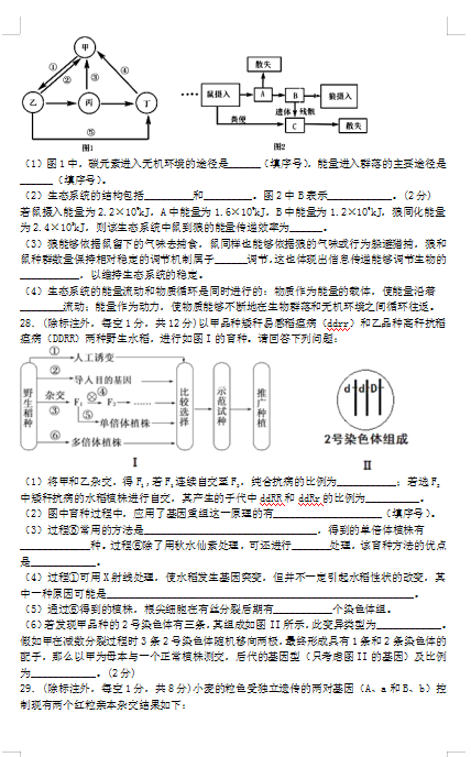 2020ýʡMMhЌW(xu)߶ĩԇ}DƬ棩5