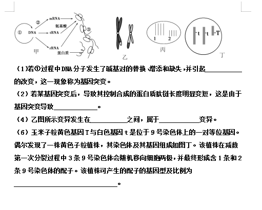 2021úʡphpһи߶9W(xu)ԇ}DƬ棩8