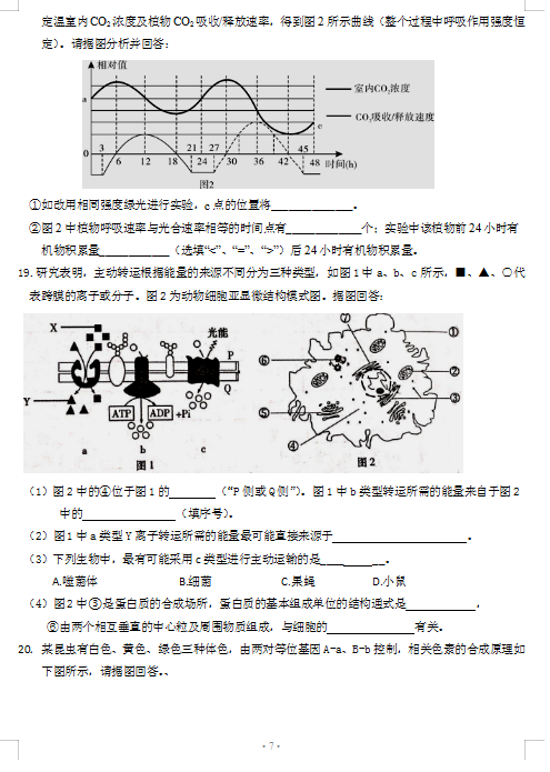 2021ÏV|ʡZW(xu)Уһ¿ԇ}DƬ棩7