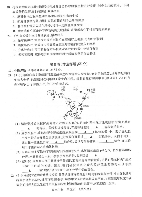 2021ýKʡK^(q)όW(xu)ڳ{(dio)ԇ}DƬ棩5