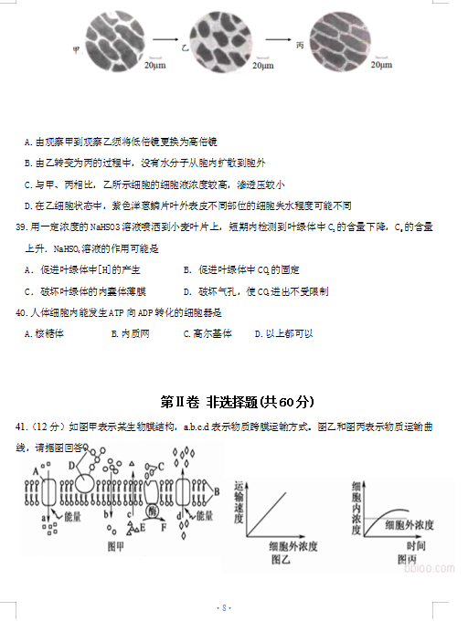 2021üʡ׳ͨܿhһЌW(xu)όW(xu)һ¿ԇ}DƬ棩8